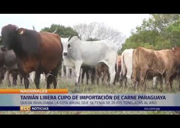 TAIWÁN LIBERA CUPO DE IMPORTACIÓN DE CARNE PARAGUAYA