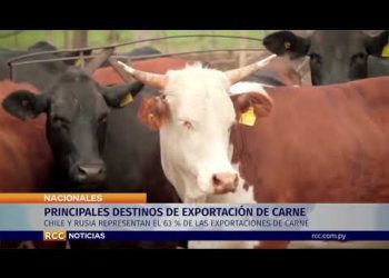 PRINCIPALES DESTINOS DE EXPORTACIÓN DE LA CARNE PARAGUAYA