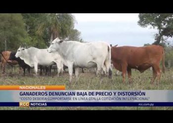 GANADEROS DENUNCIAN BAJA DE PRECIO Y HABLAN DE DISTORSIÓN
