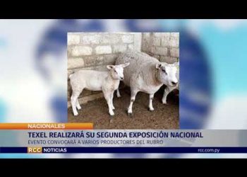 TEXEL REALIZARÁ SU SEGUNDA EXPOSICIÓN NACIONAL
