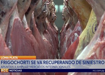 A CASI UN AÑO DEL INCENDIO: FRIGOCHORTI SE RECUPERA DE FORMA SEGURA