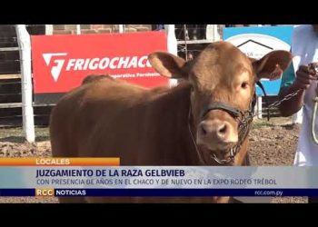 JUZGAMIENTO EN LA EXPO RODEO TRÉBOL