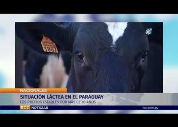 SITUACIÓN LÁCTEA EN EL PARAGUAY