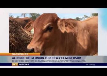 ACUERDO DE LA UNIÓN EUROPEA Y EL MERCOSUR