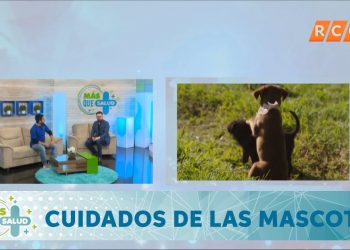 Mas que Salud | Cuidados de las Mascotas | RCC 2019