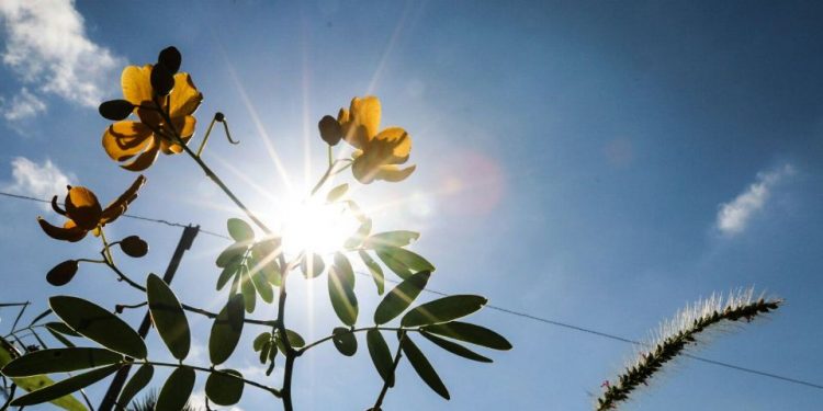 Para hoy viernes se prevé un clima agradable