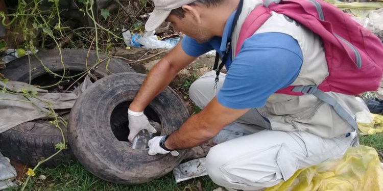 Senepa realiza fumigaciones en instituciones educativas del país