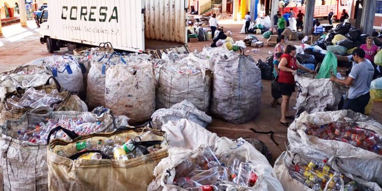 Estudiantes recolectan residuos y promueven la correcta separación de desechos