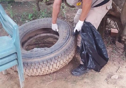 Realizan minga ambiental eliminando criaderos del Aedes Aegypti Realizan minga ambiental eliminando criaderos del Aedes Aegypti