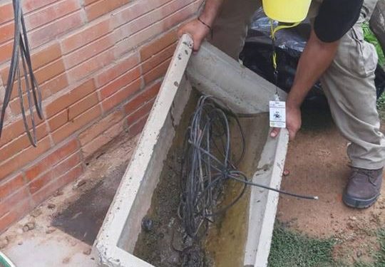 Loma Plata: Se realiza minga ambiental en el Barrio Residencial Sur