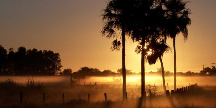 Para hoy viernes se prevé día caluroso y con chaparrones