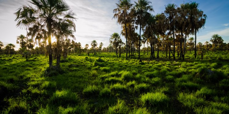 Inicio de jornada laboral con mucho calor y vientos del norte