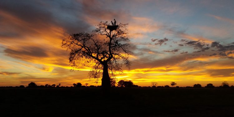 Miércoles con ambiente caluroso y precipitaciones dispersas