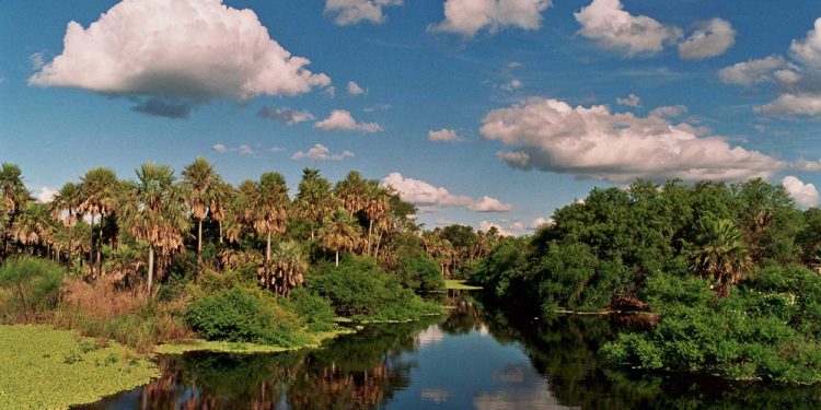 Miércoles con clima cálido y vientos del sur