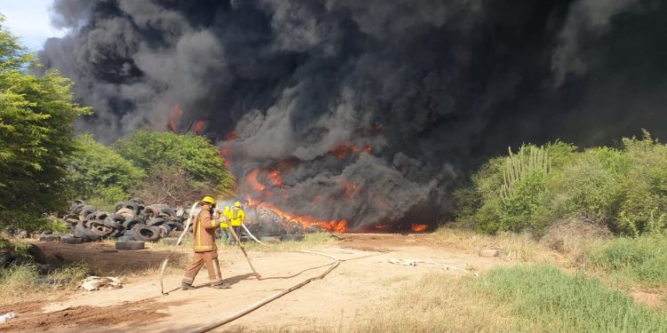 Viento, pasto y materia inflamable: Escenario de un gran incendio en el vertedero de Filadelfia Viento, pasto y materia inflamable: Escenario de un gran incendio en el vertedero de Filadelfia