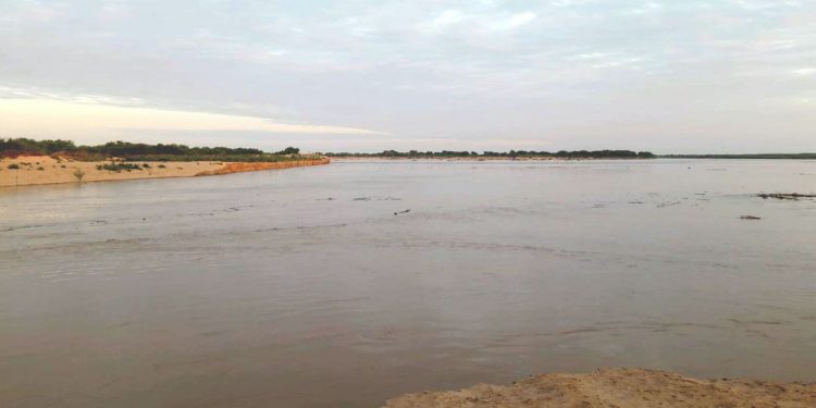 Récord: Río Pilcomayo alcanzó su pico más alto en la nueva embocadura, 4,85 metros Récord: Río Pilcomayo alcanzó su pico más alto en la nueva embocadura, 4,85 metros