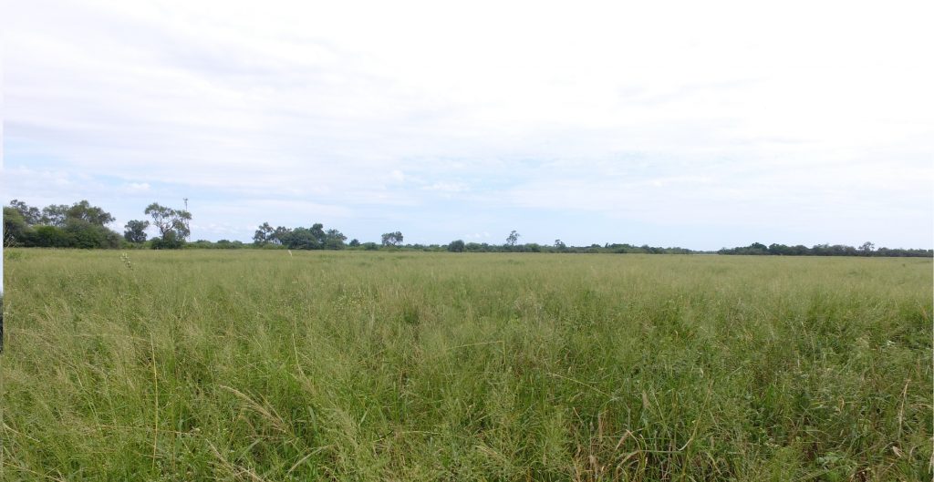 Se pronostica una jornada inestable y con mucho calor