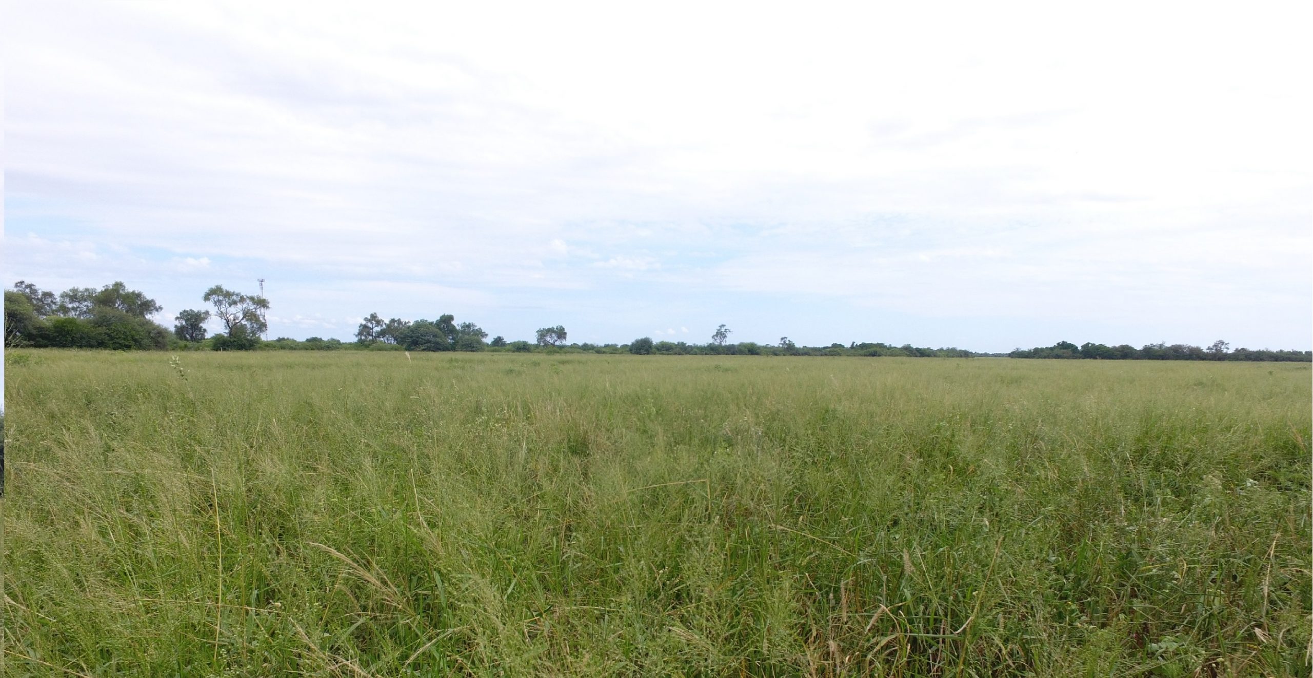 Se pronostica una jornada inestable y con mucho calor