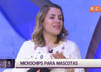 Mujer Brillante | Emprendimientos para Mascotas | RCC 2019