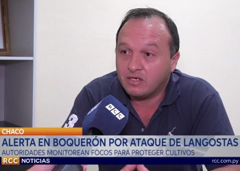 ALERTA DEPARTAMENTAL POR ATAQUE DE LANGOSTAS EN BOQUERÓN