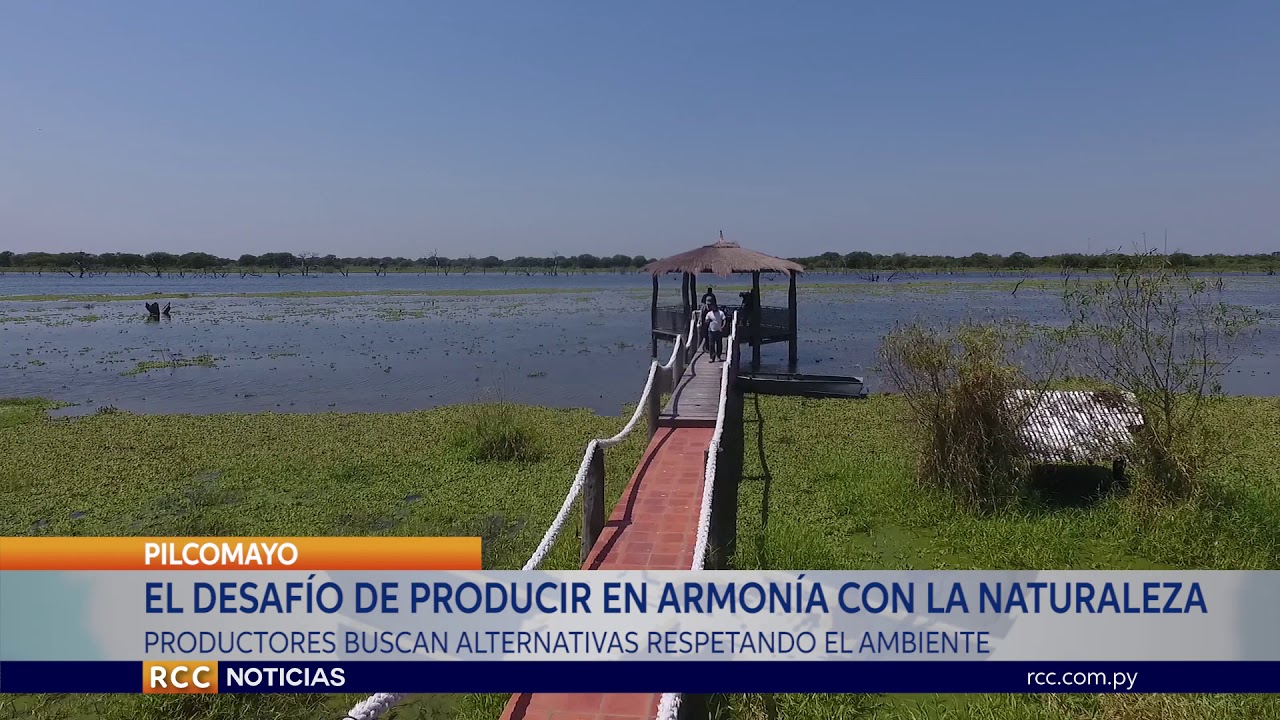 PRODUCCIÓN Y CONSERVACIÓN: UNA ARMONÍA POSIBLE EN LA RIBERA DEL PILCOMAYO