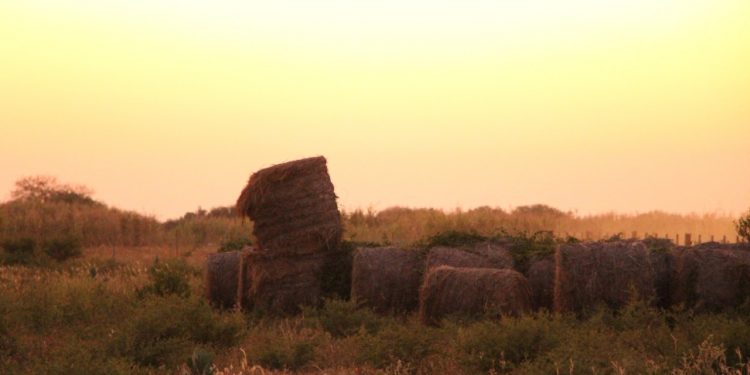Se espera un viernes extremadamente caluroso con vientos del noreste Se espera un viernes extremadamente caluroso con vientos del noreste