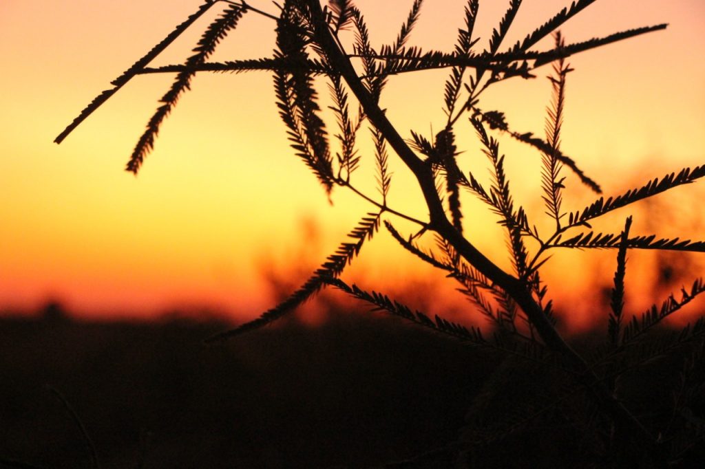 Se espera un miércoles cálido con vientos moderados del norte