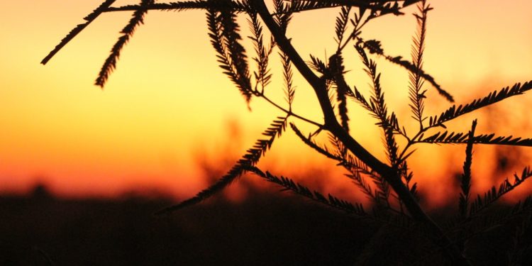 Se espera un miércoles cálido con vientos moderados del norte Se espera un miércoles cálido con vientos moderados del norte