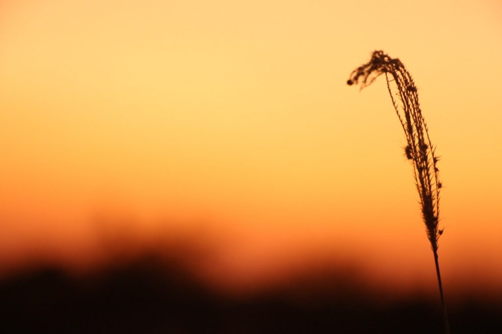 Se anuncia día cálido a caluroso con vientos del noreste