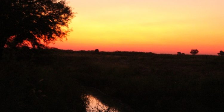 Anuncian temperaturas muy calurosas con vientos moderados del norte Anuncian temperaturas muy calurosas con vientos moderados del norte