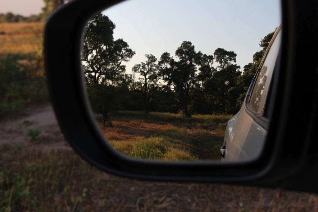 Pronostican temperaturas cálidas a calurosas con vientos del sureste