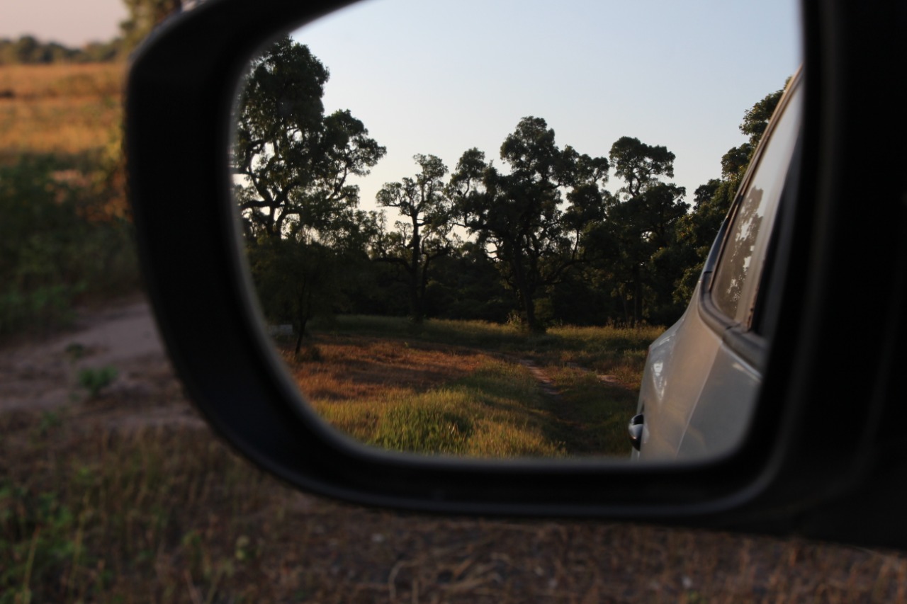 Pronostican temperaturas cálidas a calurosas con vientos del sureste