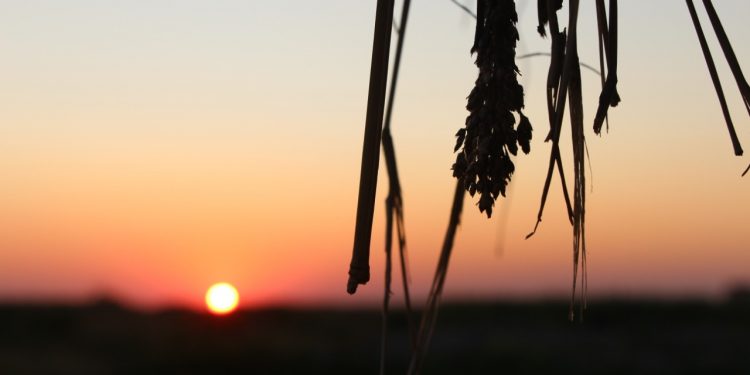 Se espera día caluroso y soleado a nivel país