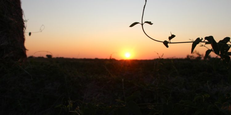 Se espera un jueves con mucho calor en todo el país Se espera un jueves con mucho calor en todo el país