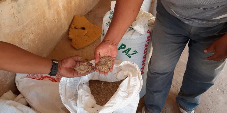 MAG brinda asistencia técnica a productores de varios distritos del país incluyendo al Chaco