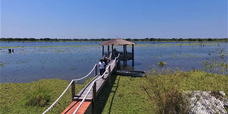 Fin de semana soleado con amaneceres frescos