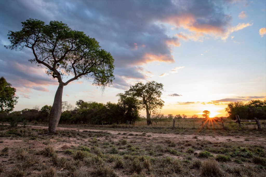 Viernes con temperaturas calurosas en todo el país Viernes con temperaturas calurosas en todo el país