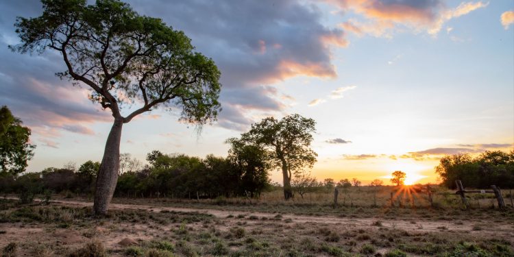 Viernes con temperaturas calurosas en todo el país