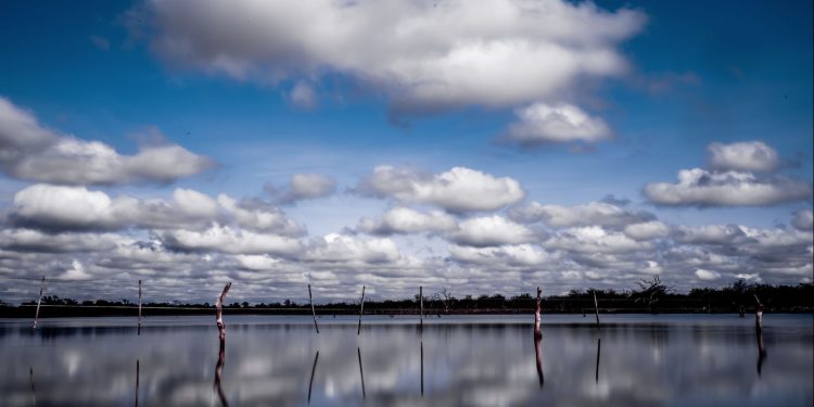 Lunes con temperaturas calurosas y chaparrones