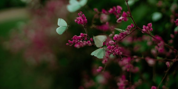 Se espera un viernes con buen tiempo en gran parte del país