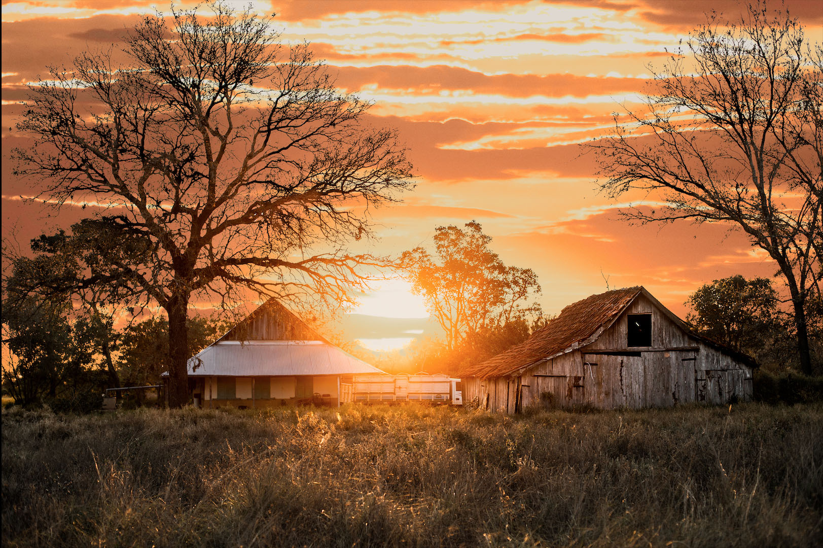 Miércoles con buen tiempo y vientos del noreste