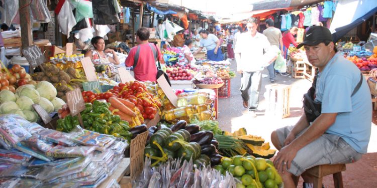 Ministerio e IPS presentarán ley para regular despidos, suspensiones y bajas laborales