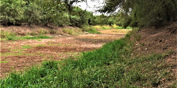 Cada vez son más las comunidades del Chaco que demandan agua potable Cada vez son más las comunidades del Chaco que demandan agua potable
