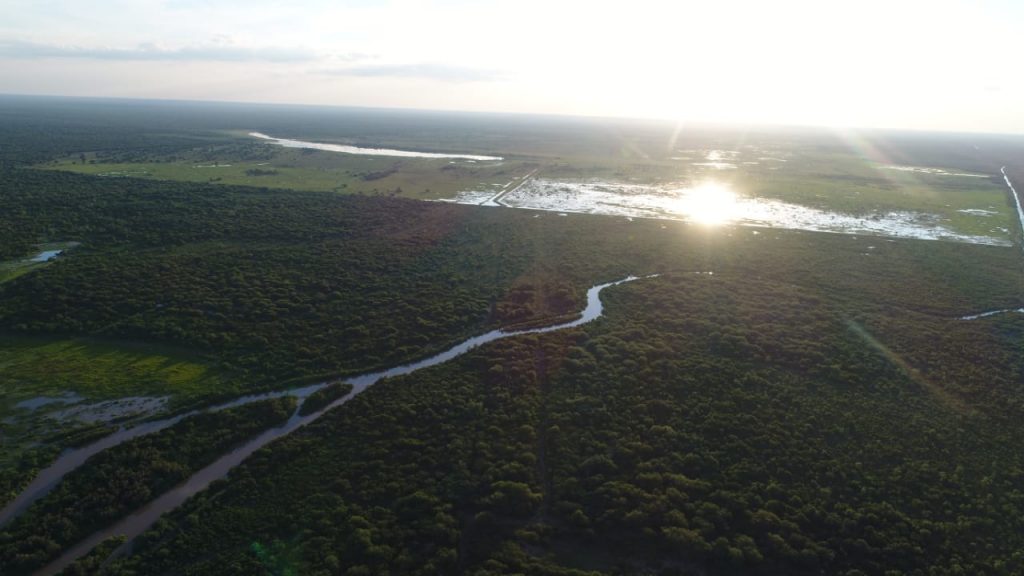 Lluvias traen alivio a productores mientras el Pilcomayo registra leve repunte