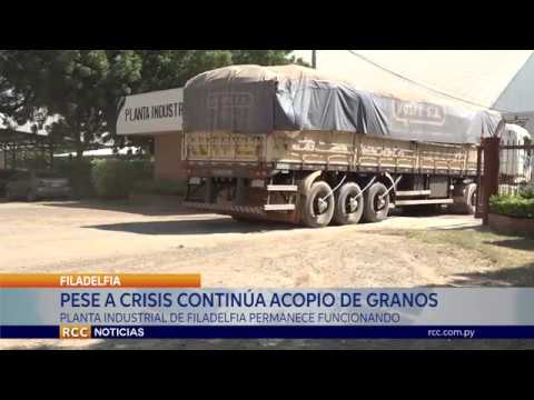 Cooperativa Fernheim ha logrado acopiar más de 5.000 toneladas de sésamo en sequía