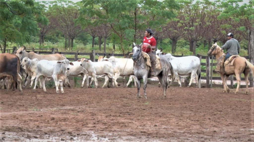 ¿Qué es una colonización de tierras y cuánto podría costar implementarlo en el Chaco?