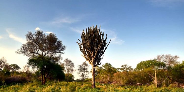 Anuncian que el clima se mantendrá estable en todo el país