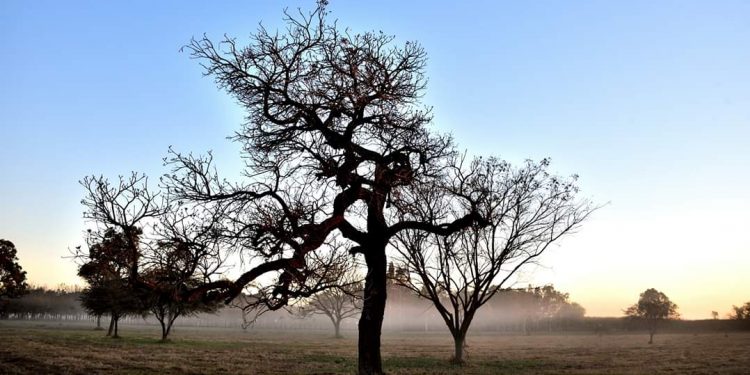 Se anuncia dí­as frí­os a cálidos y sin lluvias