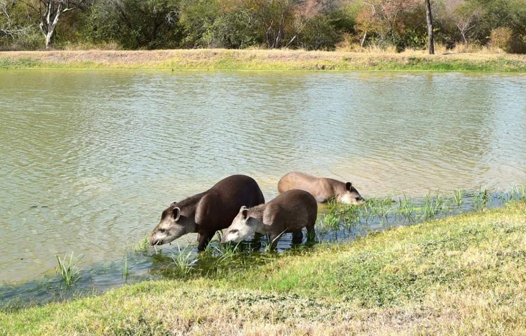 Continuarán los amaneceres frescos y tardes cálidas