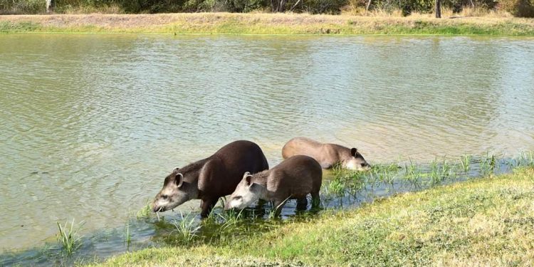 Continuarán los amaneceres frescos y tardes cálidas